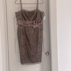 Brown dress, size 16, shiny and silk fabric new with tags R and M Richards